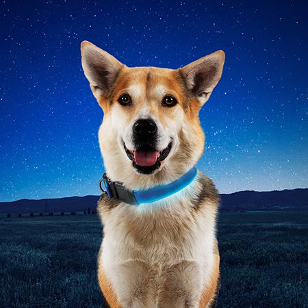 NITE IZE® NITEDOG™ RECHARGEABLE LED COLLAR FOR DOGS