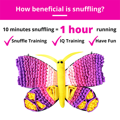 PAWZNDOGZ™ RADIANT BUTTERFLY™ SNUFFLE MAT CHALLENGE LEVEL 3