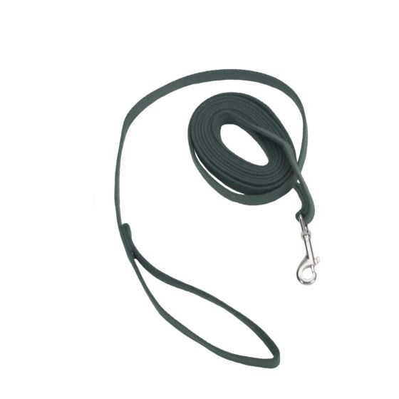 Train Right Cotton Web Training Leash Dog 1pc 5/8inx10ft