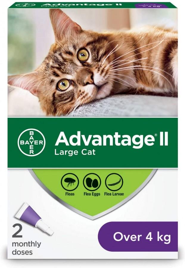 Bayer discount advantage ii