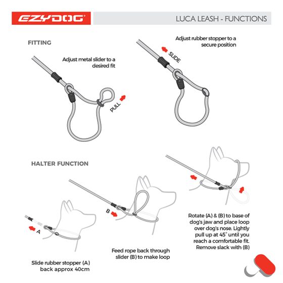 Ezydog Luca Lite Leash Orange Dog 1pc 6ft