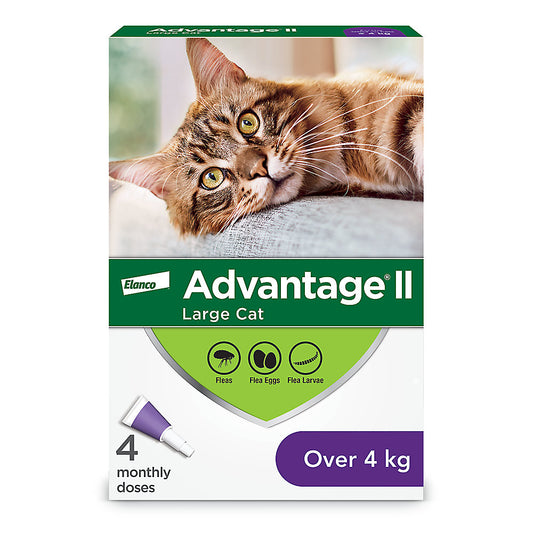 Advantage II (Flea treatment) 4 Monthly Doses (Copy)