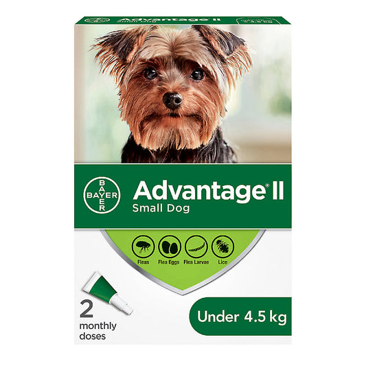 Advantage II (Flea and Lice Treatment) - 2 Monthly doses