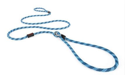 Ezydog Luca Lite Leash Blue Dog 1pc 6ft