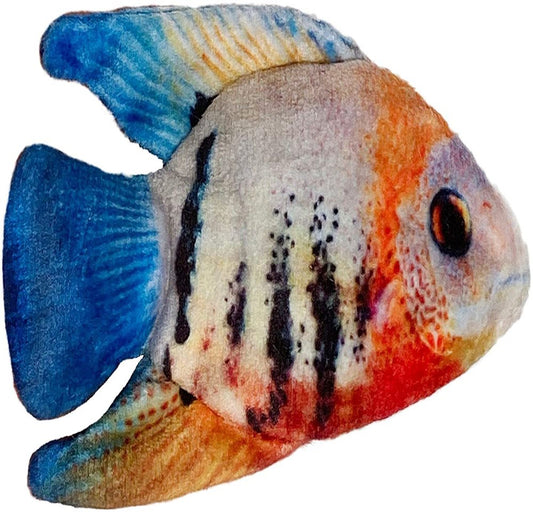 Kittybelles Plush Angelfish