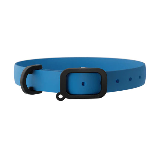 Nuvuq Medium Collar Blueberry Blue Dog