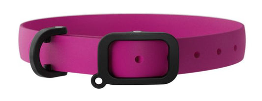 Nuvuq Medium Collar Raspberry Pink Dog