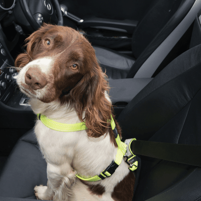 Rogz Safety Belt Clip PK