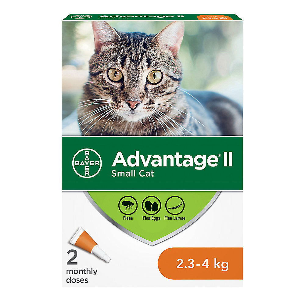 Advantage II (Flea treatment) 2 Monthly Doses